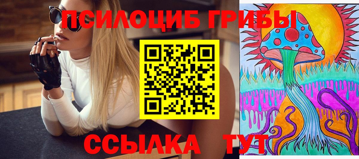 Знаменск  цены   Галлюциногенные грибы мицелий  Вход с VPN  Галлюциногенные грибы Psilocybine cubensis 